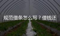 規范借條怎么寫？借錢還錢不再尷尬