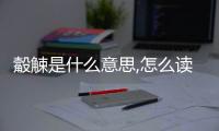 觳觫是什么意思,怎么讀（觳觫）