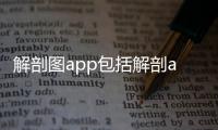 解剖圖app包括解剖ai科技繪圖軟件的詳細(xì)情況