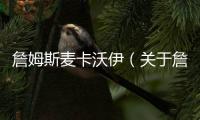 詹姆斯麥卡沃伊（關于詹姆斯麥卡沃伊的基本情況說明介紹）