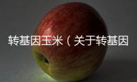 轉(zhuǎn)基因玉米（關(guān)于轉(zhuǎn)基因玉米的基本情況說明介紹）