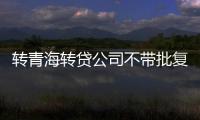 轉(zhuǎn)青海轉(zhuǎn)貸公司不帶批復(fù)