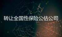 轉(zhuǎn)讓全國性保險公估公司帶8個公估師