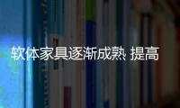 軟體家具逐漸成熟 提高質量和附加值大勢所趨