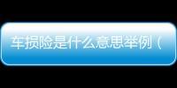 車損險是什么意思舉例（車損險是什么意思）