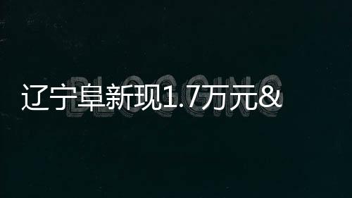 遼寧阜新現(xiàn)1.7萬元“白菜房” 專家:屬少數(shù)情況