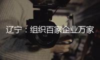 遼寧：組織百家企業(yè)萬(wàn)家藥店公開承諾穩(wěn)價(jià)保質(zhì)