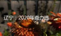 遼寧：2020年查辦違法廣告案件326件 罰沒670余萬元