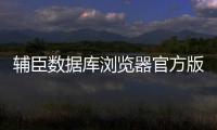 輔臣數據庫瀏覽器官方版軟件介紹（輔臣數據庫瀏覽器官方版）