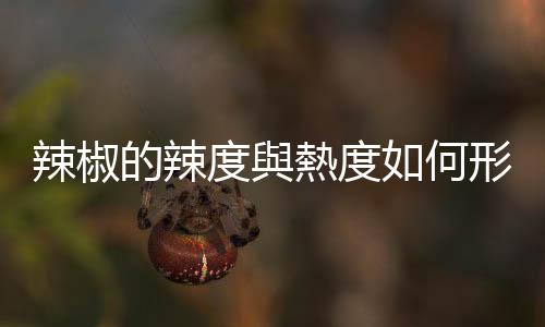 辣椒的辣度與熱度如何形成？2021年諾貝爾生醫(yī)獎得主揭開人體的奧秘