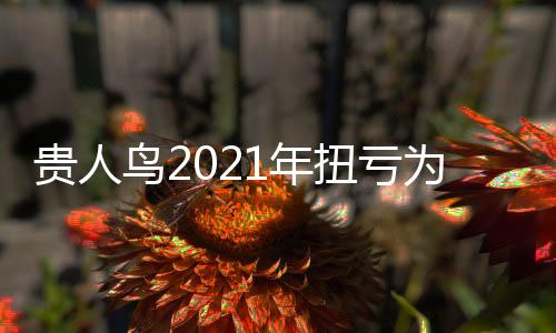 貴人鳥2021年扭虧為盈：全年營收14.2億 盈利3.6億