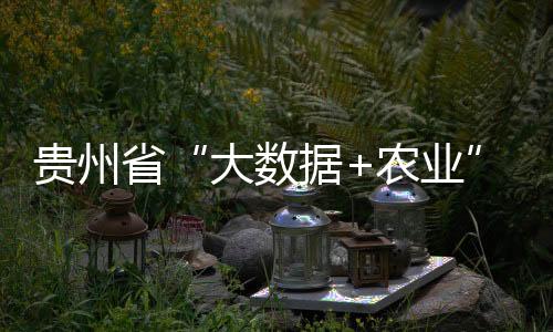 貴州省“大數(shù)據(jù)+農(nóng)業(yè)”體系初步形成