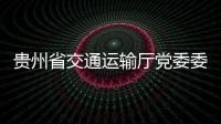 貴州省交通運輸廳黨委委員、副廳長潘海接受審查調(diào)查