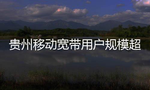 貴州移動寬帶用戶規(guī)模超2300萬戶 流量消費爆發(fā)增長