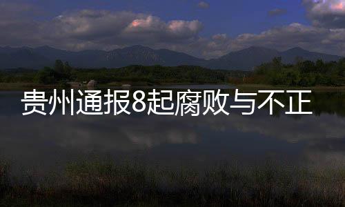 貴州通報(bào)8起腐敗與不正之風(fēng)案例 嚴(yán)懲違紀(jì)違法行為