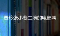 賈玲張小斐主演的電影叫什么