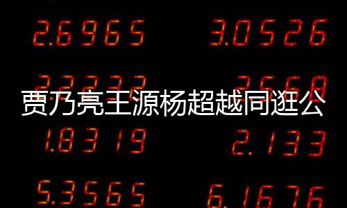 賈乃亮王源楊超越同逛公園 露半張臉比耶默契足