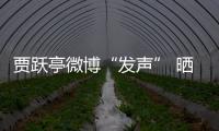 賈躍亭微博“發聲” 曬出FF 91雪地測試圖