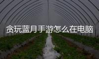 貪玩藍月手游怎么在電腦上玩