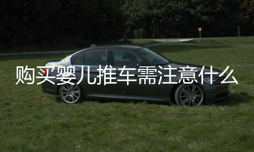 購買嬰兒推車需注意什么