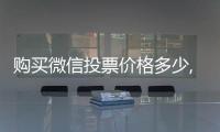 購買微信投票價格多少,人工投票一票多少錢？