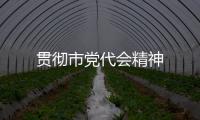 貫徹市黨代會精神