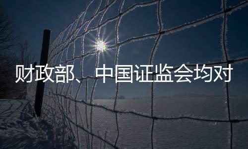 財政部、中國證監會均對恒大地產審計機構普華永道處以頂格罰款