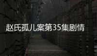 趙氏孤兒案第35集劇情介紹