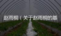 趙雨桐（關于趙雨桐的基本情況說明介紹）