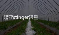 起亞stinger限量版官圖發布 紐約車展亮相