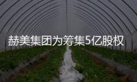 赫美集團為籌集5億股權轉讓款 2.1億甩賣阿瑪尼