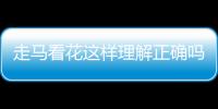 走馬看花這樣理解正確嗎?