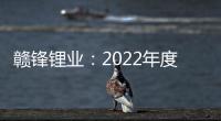 贛鋒鋰業：2022年度凈利同比增長292.16%