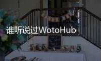 誰聽說過WotoHub？被譽(yù)為海外網(wǎng)絡(luò)名人營(yíng)銷神器？