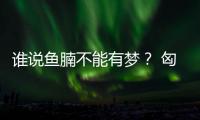 誰說魚腩不能有夢？ 匈牙利用精確打擊逼退法國