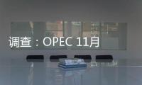 調查：OPEC 11月份原油產量上升