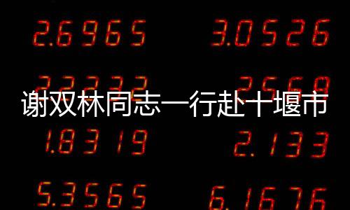 謝雙林同志一行赴十堰市竹溪縣獅子埡村調研