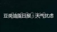 豆類油脂日報：天氣憂慮暫退，豆類油脂強勢調整