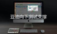 豆油向下測試支撐