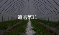 追逃第11