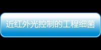 近紅外光控制的工程細菌用于增強實體瘤治療效果