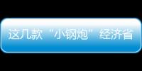 這幾款“小鋼炮”經濟省油 錯過了很可惜