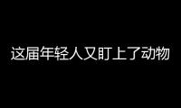 這屆年輕人又盯上了動物園 “zoo walk”為啥火了？