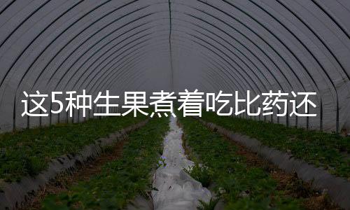 這5種生果煮著吃比藥還好用潤肺驅(qū)寒止咳值得保藏