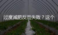 過度減肥反而失敗？這個訣竅你意想不到