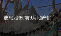 迪馬股份:前9月地產銷售額101.8億,同比下降66.61%