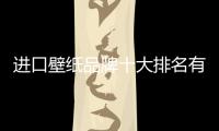 進(jìn)口壁紙品牌十大排名有哪些（進(jìn)口壁紙品牌）