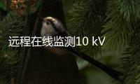 遠程在線監測10 kV水電共線并網的雙向調壓系統裝置