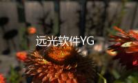 遠光軟件YG