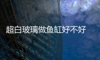 超白玻璃做魚缸好不好 魚缸缸底不平會(huì)炸缸嗎 ,行業(yè)資訊